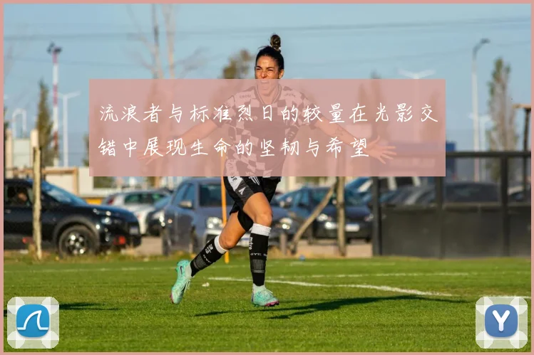 流浪者与标准烈日的较量在光影交错中展现生命的坚韧与希望